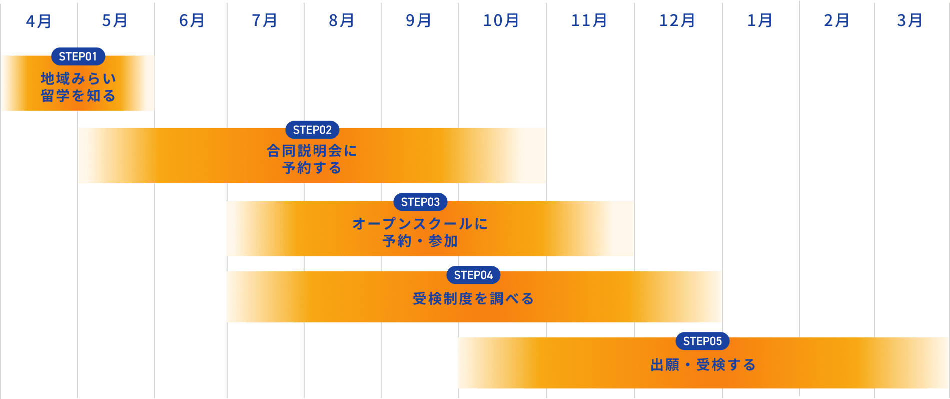 年間スケジュール