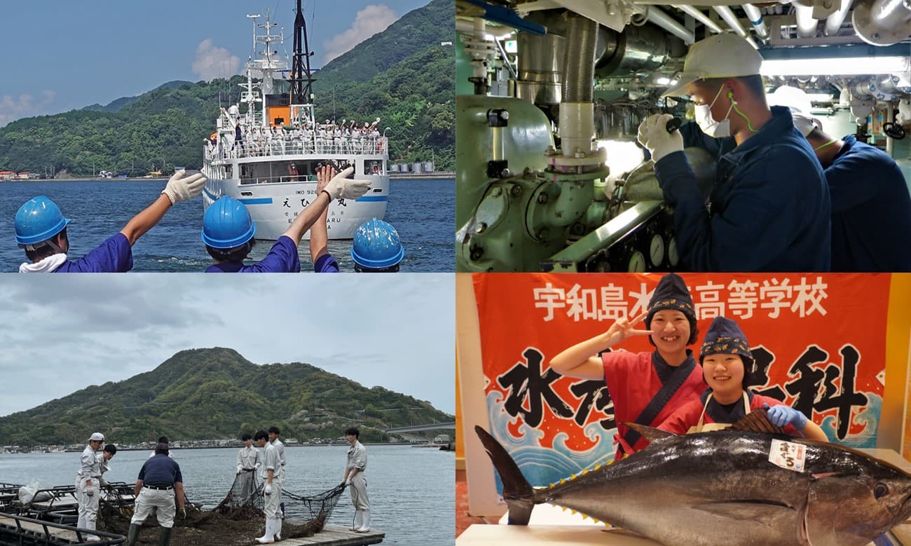 宇和島水産高校オンライン説明会